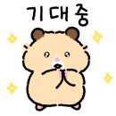 진쓰샵