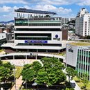 서구-19 이미지