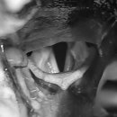 동주동물병원 이미지