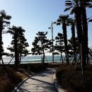 해운대캇트 이미지