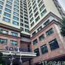 호텔시그널 | 서울 종로 수송동 호텔 객실 변기악취와 트렌치냄새제거 현장후기