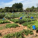 탑동농장 이미지