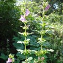 송강농장 이미지