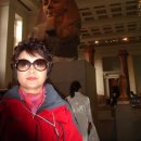 알프스장 이미지