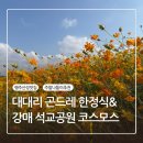 강매동 석교 | [행주산성 맛집] 대대리 곤드레 한정식 후기/ 근처 강매 석교공원 창릉천 코스모스 축제까지!