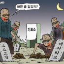 26 이미지