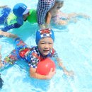 어푸어푸 이미지