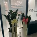 경희한약방 이미지