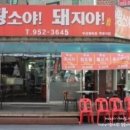 돼지야 이미지