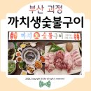 괴정동 회화나무 소공원 | 괴정 고기집 까치생숯불구이 괴정직영점 괴정동 맛집 또 오게되는 이유ᰔ