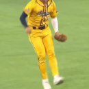 공중제비 이미지