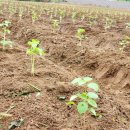 대명농자재 이미지