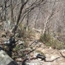 324차 대둔산(878m)정기 산행후기 이미지