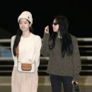 샨헤어 이미지