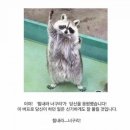 하비쇼룸