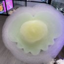 솜사탕노래타운 - 안산시 단원구 광덕3로 167-10 | 솜사탕노래타운