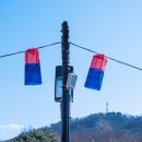 청사초롱 이미지