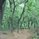 한샘약수터 이미지