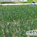 태봉산농원 네이버블로그