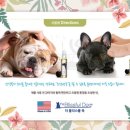 도그아로마 이미지