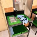 구구스크린골프 이미지