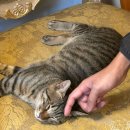 천우수산 이미지