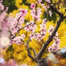 덕풍수변공원 이미지