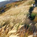 자연알로(보령) 이미지