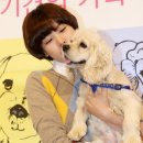 더페밀리