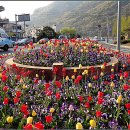 "산으로"의 두바퀴 여행(마산항~진해항~부산국제업무단지~신호대교~사하구~낙동대교~사상고속 버스터미날(3) 이미지