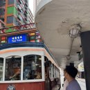 자유아파트 | 홍콩 자유 여행 솔직후기3 (+초이홍 무지개 아파트, 마이컵오브티, 홍콩 스냅촬영, 린흥티하우스 후기)