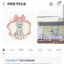 예뻐할게 펫 살롱 네이버블로그