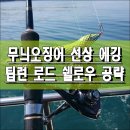 하이;에기 | 선상 에깅 팁런 로드 쉘로우 공략법 입질 파악과 장비 세팅 기준