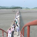 증도 갯벌생태전시관 이미지