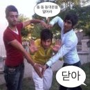 에고에이미