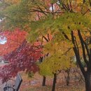 조궁희정형외과의원 이미지