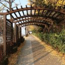 남부순환로 이미지