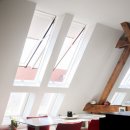 (주)인터펫코리아 이미지