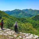 용장산성에 숨겨진 삼별초의 역사…고려의 저항, 진도에 남다