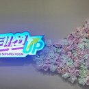 텐션업코인노래연습장 이미지
