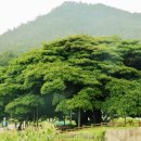 남해-299 이미지