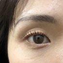 주공세탁소 | 광명 하안동 속눈썹펌 솔직 후기 &lt;이조살롱&gt;