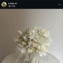 올로르플라워OlorFlower
