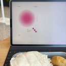 남대전푸른문고 | BOOK | 밀리와 영풍문고와 교보문고, 번역서 제목, SF 세계관, 런던의 이야기들