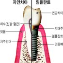 동민치과의원 이미지