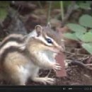 그린24시 편의점 이미지