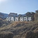 용마루부동산 이미지