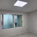 유림-1119 이미지