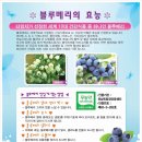 등불농장 이미지