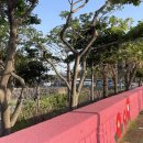 이마트24 거제농소바다점 이미지